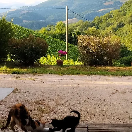 La Maison Du Bonheur Bed & Breakfast