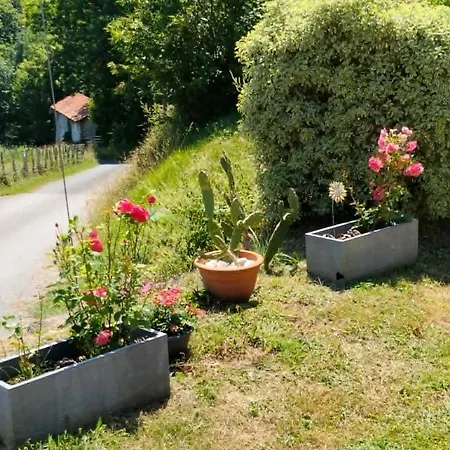 La Maison Du Bonheur Bed & Breakfast Saint-Etienne-de-Baigorry